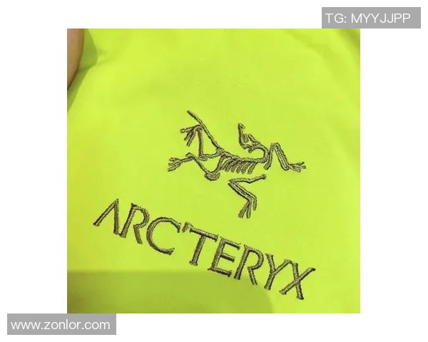 始祖鸟的真相揭秘与伪造品辨别技巧全面解析